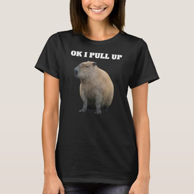 Camiseta Ok, Eu Levo Capybara Meme Capybara (Frente)