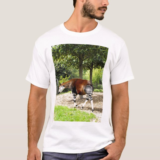 Camiseta Okapi indo embora (Frente)