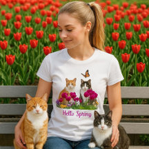 Olá Gatos da Primavera no Jardim de Flores de Tuli