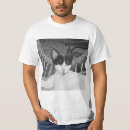 Camiseta Olá, Meow..
