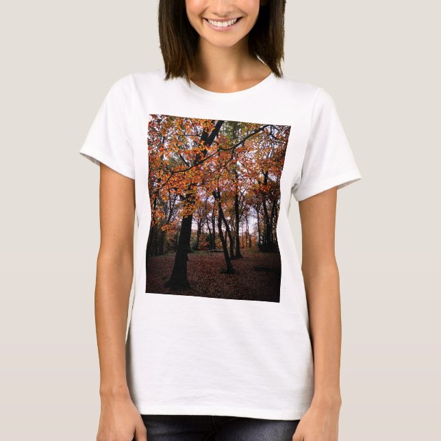 Camiseta Olhar de outono, para as árvores (Frente)