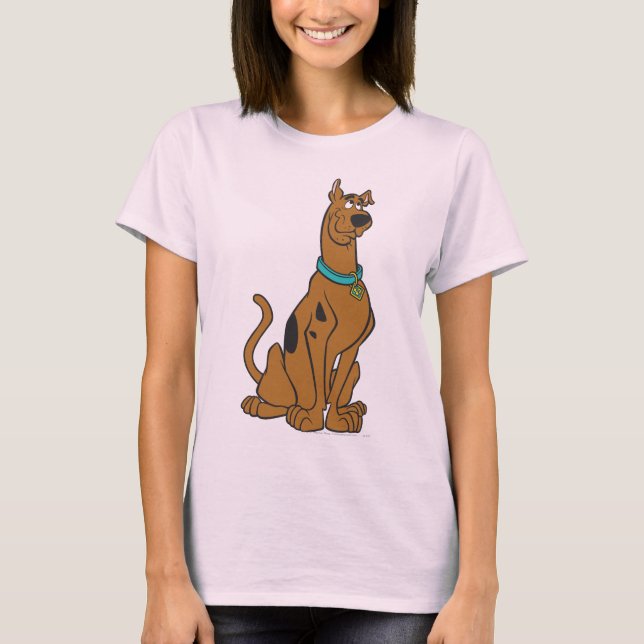 Camiseta Olhos De Puppy Scooby-Doo (Frente)