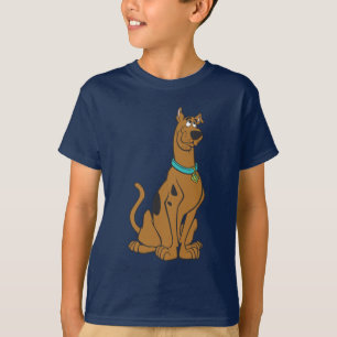 Camiseta Olhos do filhote de cachorro de Scooby-Doo