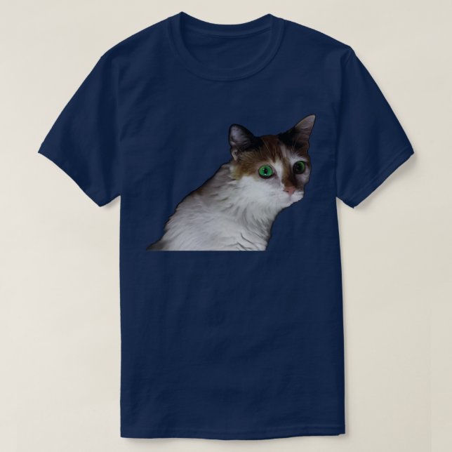 Camiseta olhos verdes de gato branco (Frente do Design)