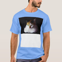 olhos verdes de gato branco 1