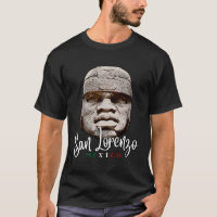 Olmec Colossal Head Giant San Lorenzo México