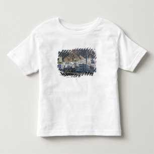 Camiseta Omã, Mascate, Mutrah. Edifícios ao longo de Mutrah