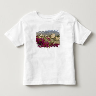 Camiseta Omã, Montanhas Hajar Ocidentais, Al Hamra. Cidade