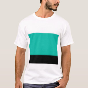 Camiseta Ombre Turquesa
