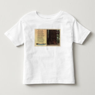 Camiseta Opinião a sequóia vermelha das pistas lisa