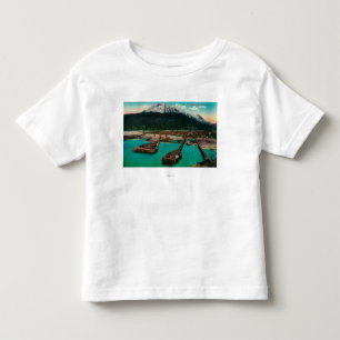Camiseta Opinião da cidade de Skagway, AlaskaSkagway, AK