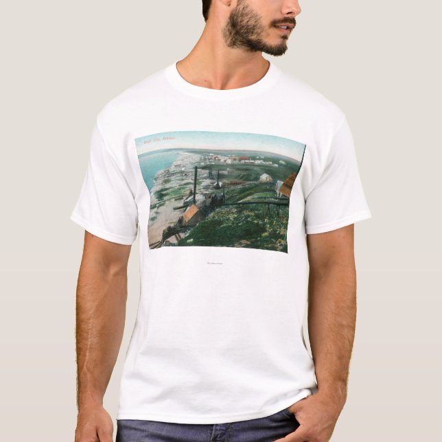 Camiseta Opinião da cidade e cidade de WaterfrontBluff, AK (Frente)