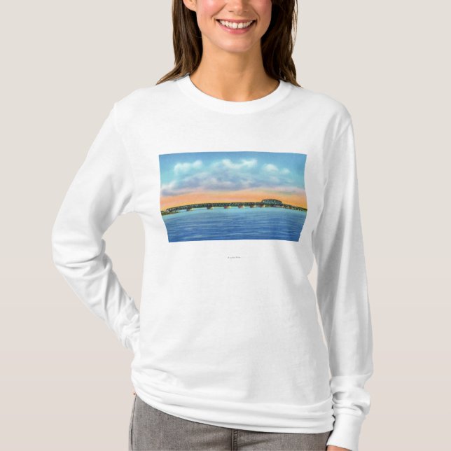 Camiseta Opinião distante do lago da ponte nova (Frente)