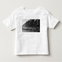 Opinião do beira-rio fotografia de Juneau, Alaska