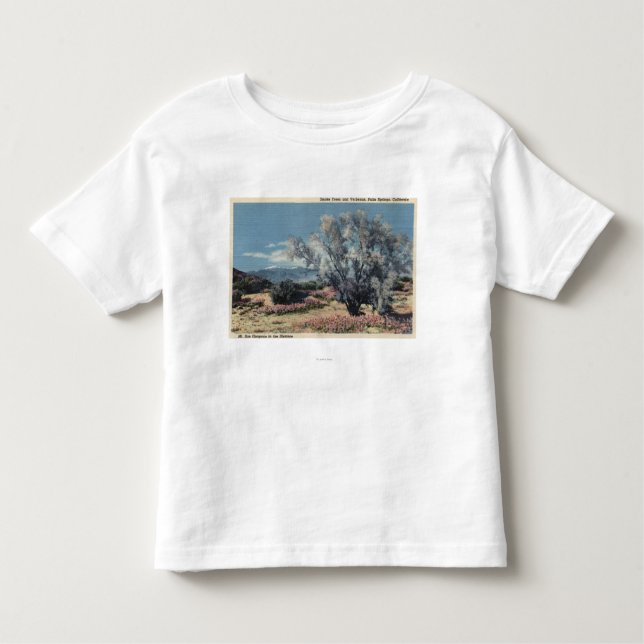 Camiseta Opinião do Mt. San Gorgonio, árvores de fumo (Frente)