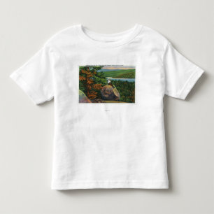 Camiseta Opinião equilibrada da rocha da corrente de Fulto