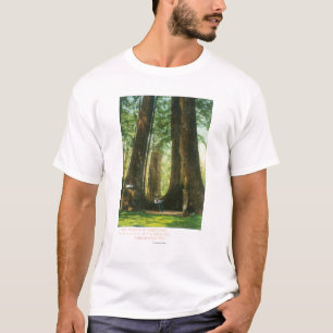 Camiseta Opinião gêmeos da sequóia vermelha no bosque