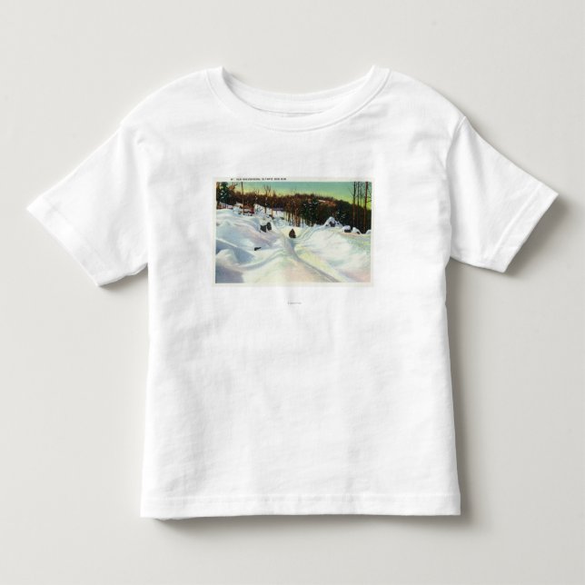 Camiseta Opinião olímpica do funcionamento do Bobsled em (Frente)