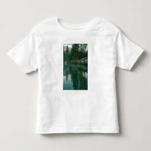 Camiseta Opinião Stella LakeWawona, CA