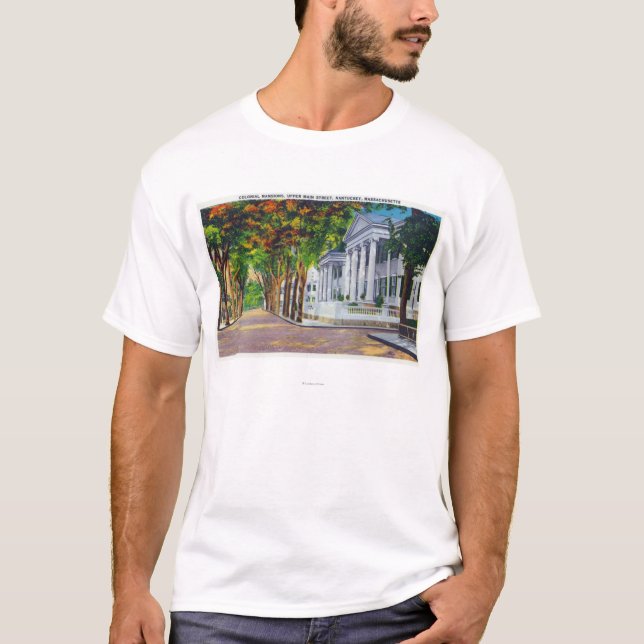Camiseta Opinião superior de rua principal de mansões (Frente)