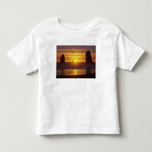 Camiseta OR, Costa do Oregon, Cannon Beach, pilhas de maré 