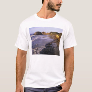 Camiseta OR, Costa do Oregon, Newport, litoral em Seal