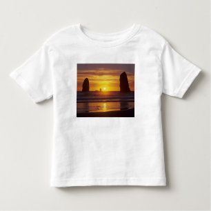 Camiseta OR, Oregon Coast, Cannon Beach, Sastacks às 2