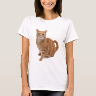 Camiseta Orange Cat