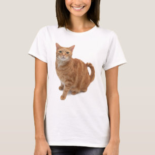 Camiseta Orange Cat