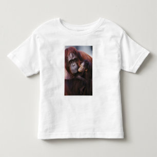 Camiseta Orangotango de Sumatra fêmea com bebê, Pongo