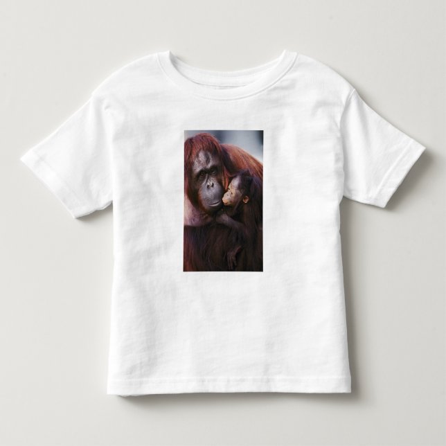 Camiseta Orangotango de Sumatra fêmea com bebê, Pongo (Frente)