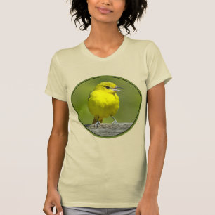 Camiseta Orchard Oriole - Fotografia original