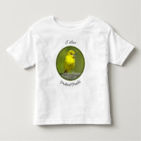 Orchard Oriole - Fotografia original