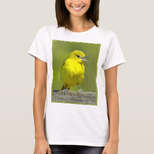 Camiseta Orchard Oriole - Fotografia Original
