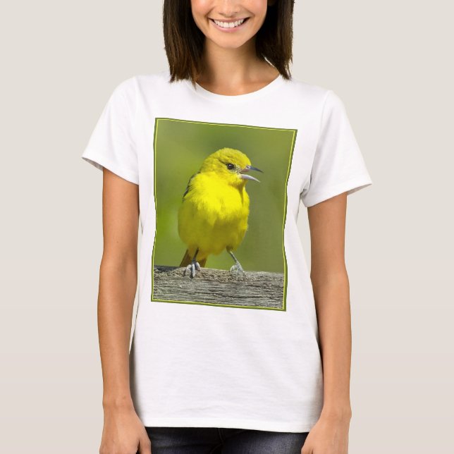 Camiseta Orchard Oriole - Fotografia Original (Frente)