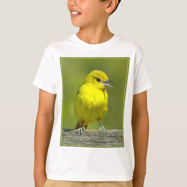 Camiseta Orchard Oriole - Fotografia original (Frente)