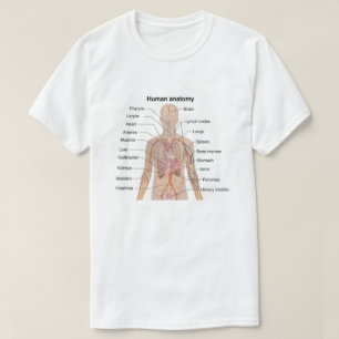 Camiseta Organograma Interno de Anatomia do Corpo Humano