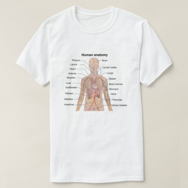 Camiseta Organograma Interno de Anatomia do Corpo Humano (Frente do Design)