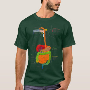 Camiseta Órgãos Digestivos Diagrama Médico