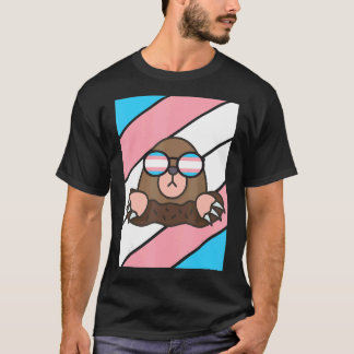 Camiseta Orgulho de Orgulho LGBTQ - Sinalizador de Transgên