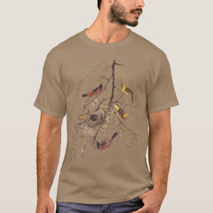 Camiseta Orquard Oriole Men Orgânica