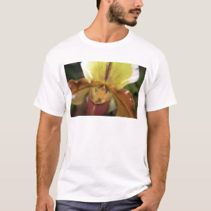 Camiseta Orquídea