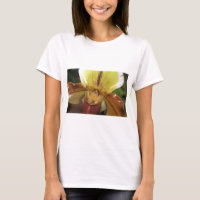 Orquídea