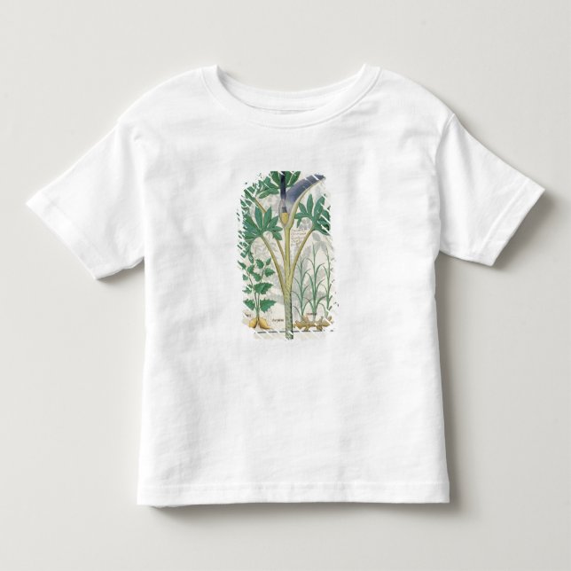 Camiseta Orquídea (Frente)