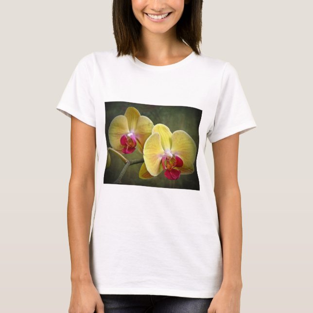 Camiseta Orquídeas-Mama amarelas - Phalaenopse (Frente)