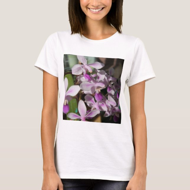Camiseta orquídeas miniatura (Frente)