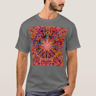 Camiseta Ortografia mágica 55 1