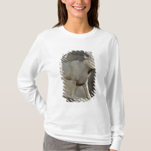 Camiseta Os Apis Bull, do Serapeum, Memphis