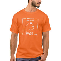 Os cães têm donos, os gatos têm funcionarios