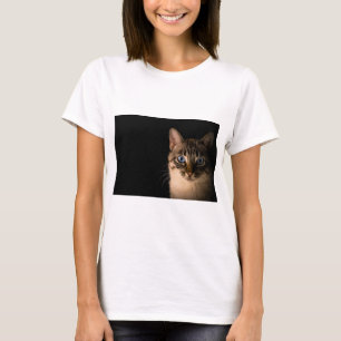 Camiseta Os Gatos São Os Melhores 20